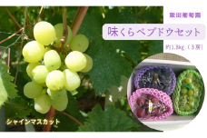 【先行予約】味くらべ ブドウ セット 1.8kg( シャインマスカット と 旬のぶどう ) ぶどう 葡萄 ※2025年8月下旬～10月中旬頃に順次発送予定 ※沖縄・離島への配送不可