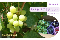 【先行予約】味くらべ ブドウ セット 2.4kg( シャインマスカット と 旬のぶどう )ぶどう 葡萄 ※2025年8月下旬～10月中旬頃に順次発送予定 ※沖縄・離島への配送不可