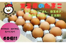 【天王原のたまご】サクセス卵30個/ロイヤル卵30個