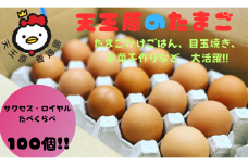 【天王原のたまご】サクセス卵50個/ロイヤル卵50個