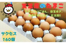 【天王原のたまご】サクセス卵160個入り