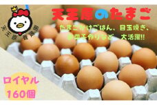 【天王原のたまご】ロイヤル卵160個入り