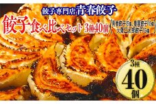 餃子専門店青春餃子 餃子食べ比べセット 3種40個（青春餃子15個、豊岡餃子10個、大葉三太郎餃子15個）