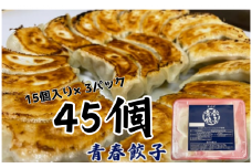 餃子専門店青春餃子のもちもち肉汁餃子15個入り×3パック 45個