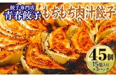 餃子専門店青春餃子のもちもち肉汁餃子15個入り×3パック 45個