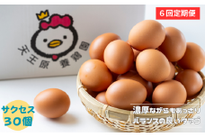 【定期便】６回定期  【天王原のたまご】 サクセス卵 30個入り  定期便 たまご 卵