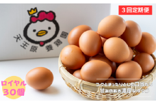 【定期便】3回定期 【天王原のたまご】 ロイヤル卵 30個入り  定期便 たまご 卵