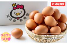 【定期便】12回定期 【天王原のたまご】 ロイヤル卵 30個入り  定期便 たまご 卵