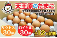 【定期便】12回定期 【天王原のたまご】 サクセス卵30個/ロイヤル卵30個【定期便 12回定期便 セット たまご 卵 玉子 タマゴ 濃厚 食べ比べ ハリ 弾力 ボリューム 甘味 旨味 卵黄 風味 生 コク 甘味 卵かけご飯 卵焼き 目玉焼き オムレツ 茶碗蒸し お菓子作り パンの材料】