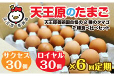 【定期便】6回定期 【天王原のたまご】 サクセス卵30個/ロイヤル卵30個 【定期便 6回定期便 セット たまご 卵 玉子 タマゴ 濃厚 食べ比べ ハリ 弾力 ボリューム 甘味 旨味 卵黄 風味 生 コク 甘味 卵かけご飯 卵焼き 目玉焼き オムレツ 茶碗蒸し お菓子作り パンの材料】