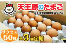 【定期便】3回定期 【天王原のたまご】 サクセス卵 50個入り 【定期便 3回定期便 セット たまご 卵 玉子 タマゴ 濃厚  ハリ 弾力 ボリューム 甘味 旨味 卵黄 風味 生 コク 甘味 卵かけご飯 卵焼き 目玉焼き オムレツ 茶碗蒸し お菓子作り パンの材料】