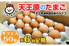 【定期便】6回定期 【天王原のたまご】 サクセス卵 50個入り【定期便 6回定期便 セット たまご 卵 玉子 タマゴ 濃厚  ハリ 弾力 ボリューム 甘味 旨味 卵黄 風味 生 コク 甘味 卵かけご飯 卵焼き 目玉焼き オムレツ 茶碗蒸し お菓子作り パンの材料】