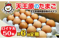 【定期便】6回定期 【天王原のたまご】 ロイヤル卵 50個入り【定期便 6回定期便 セット たまご 卵 玉子 タマゴ 濃厚  ハリ 弾力 ボリューム 甘味 旨味 卵黄 風味 生 コク 甘味 卵かけご飯 卵焼き 目玉焼き オムレツ 茶碗蒸し お菓子作り パンの材料】