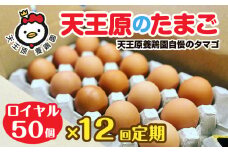 【定期便】12回定期 【天王原のたまご】 ロイヤル卵 50個入り【定期便 12回定期便 セット たまご 卵 玉子 タマゴ 濃厚  ハリ 弾力 ボリューム 甘味 旨味 卵黄 風味 生 コク 甘味 卵かけご飯 卵焼き 目玉焼き オムレツ 茶碗蒸し お菓子作り パンの材料】