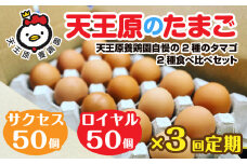 【定期便】3回定期 【天王原のたまご】 サクセス卵50個/ロイヤル卵50個【定期便 3回定期便 セット たまご 卵 玉子 タマゴ 濃厚  ハリ 弾力 ボリューム 甘味 旨味 卵黄 風味 生 コク 甘味 卵かけご飯 卵焼き 目玉焼き オムレツ 茶碗蒸し お菓子作り パンの材料】