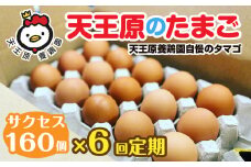 【定期便】6回定期【天王原のたまご】 サクセス卵160個入り【定期便 6回定期便 セット たまご 卵 玉子 タマゴ 濃厚  ハリ 弾力 ボリューム 甘味 旨味 卵黄 風味 生 コク 甘味 卵かけご飯 卵焼き 目玉焼き オムレツ 茶碗蒸し お菓子作り パンの材料】