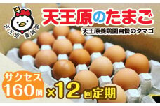 【定期便】12回定期 【天王原のたまご】 サクセス卵160個入り【定期便 12回定期便 セット たまご 卵 玉子 タマゴ 濃厚  ハリ 弾力 ボリューム 甘味 旨味 卵黄 風味 生 コク 甘味 卵かけご飯 卵焼き 目玉焼き オムレツ 茶碗蒸し お菓子作り パンの材料】