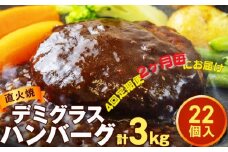 【定期便・隔月全4回】直火焼 ハンバーグ デミグラスソース 1セット22個入り 3kg超え 合計88個｜デミグラス ハンバーグ ハンバーグ 冷凍 調理済み 個包装 簡単調理 ハンバーグ 湯煎 湯せん 温めるだけ レトルト 惣菜 お弁当 おかず デミグラスソース 牛肉 ひき肉 挽肉 人気 茨城 常総 小分け 10個 以上 20個 以上 はんばーぐ  ※沖縄県・離島への配送不可