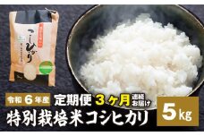 新米【定期便】3ヶ月連続お届け「令和六年産」特別栽培米 コシヒカリ 5kg 定期便 お米 コシヒカリ 3ヶ月お届け 新米 米 お米 コメ こめ 精米 ライス 白米 炭水化物 ご飯 主食 食卓 おにぎり お弁当 茨城県産