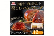 肉汁あふれるデミグラスハンバーグ12個入　日本ハム 冷凍 個食 使い切り 湯煎 牛肉 豚肉 ※沖縄県・離島への配送不可