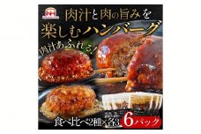 肉汁あふれるハンバーグ2種6個セット（デミグラス＆和風）　日本ハム 冷凍 個食 使い切り 湯煎 牛肉 豚肉 ※沖縄県・離島への配送不可