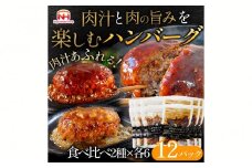 肉汁あふれるハンバーグ2種12個セット（デミグラス＆和風）   日本ハム 冷凍 個食 使い切り 湯煎 牛肉 豚肉 ※沖縄県・離島への配送不可