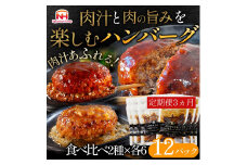 【定期便】肉汁あふれるハンバーグ2種12個セット（デミグラス＆和風）3ヶ月定期便　日本ハム 冷凍 個食 使い切り 湯煎 牛肉 豚肉 ※沖縄県・離島への配送不可