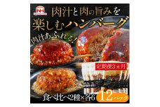 【定期便】肉汁あふれるハンバーグ2種12個セット（デミグラス＆和風）3ヶ月定期便　日本ハム 冷凍 個食 使い切り 湯煎 牛肉 豚肉 ※沖縄県・離島への配送不可