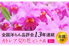 大輪ピンクカトレア切り花 5輪コース 切り花カトレア 5りん 全国洋らん品評会13年連続金賞受賞 山野井洋蘭 カトレア ※本州限定 ※離島への配送不可