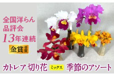 季節のアソート スタンダードコース 切り花カトレア大輪ピンク系3りん～5りんをベースに、他サイズ、他色、の組み合わせ 全国洋らん品評会13年連続金賞受賞 山野井洋蘭 カトレア ※本州限定 ※離島への配送不可