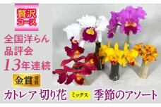 季節のアソート 贅沢コース 切り花カトレア 大輪ピンク系3りん～5りんをベースに、他サイズ、他色の組み合わせ 全国洋らん品評会13年連続金賞受賞 山野井洋蘭 カトレア ※本州限定 ※離島への配送不可