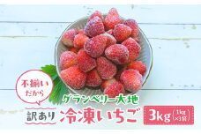 【訳あり】冷凍いちご　3kg (1㎏×3袋) いちごイチゴ 苺 冷凍 シェイク スムージー 冷たい グランベリー大地 茨城県 常総市 ※沖縄県・離島への配送不可