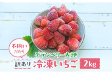 【訳あり】冷凍いちご 2kg いちごイチゴ 苺 冷凍 シェイク スムージー 冷たい グランベリー大地 茨城県 常総市 ※沖縄県・離島への配送不可
