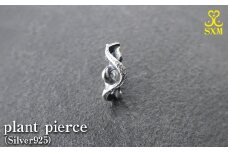 plant pierce