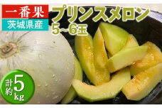茨城県産　プリンスメロン 5~6玉(計約5kg) | 一番果 期間限定 個数限定 メロン めろん 甘い ジューシー 果物 フルーツ　※2025年6月上旬～6月下旬頃に順次発送予定　※離島への配送不可