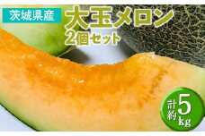 お任せ！茨城県産　大玉メロン2個セット(計約5kg) | 期間限定 個数限定 メロン めろん 甘い ジューシー 果物 フルーツ　※2025年6月下旬～7月下旬頃に順次発送予定　※離島への配送不可