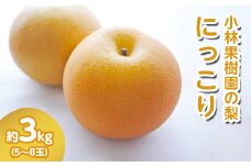 【先行予約】小林果樹園の梨 にっこり 5～8玉 約3kg｜朝どり みずみずしい 梨 なし ナシ フルーツ 果物 常総市