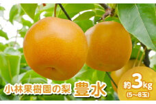 【先行予約】小林果樹園の梨 豊水 5～8玉 約3kg｜ほうすい 朝どり みずみずしい 梨 なし ナシ フルーツ 果物 常総市