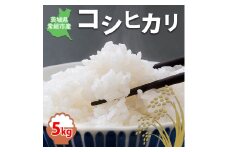 【令和6年産】限定20個 コシヒカリ5kg｜茨城県常総市産 無洗米 在庫有 米 お米 白米 ご飯 コメ こめ こしひかり