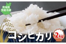 【令和7年産】コシヒカリ2kg 茨城県常総市産 精米｜米 お米 白米 ご飯 コメ こめ こしひかり