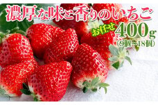 濃厚な味と香りのいちご お任せ400g（9個～18個）| 濃厚 香り とちおとめ いばらキッス やよい姫のいずれか デラックスパック 400g 朝摘み イチゴ いちご 苺 ストロベリー 果物フルーツ 茨城県 常総市 ※2025年11月中旬～2026年3月下旬頃に順次発送予定