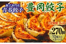 【定期便9ヶ月】餃子専門店青春餃子　豊岡餃子10個入り×3パック 30個（計270個）