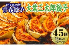 餃子専門店青春餃子　大葉三太郎餃子15個入り×3パック 45個