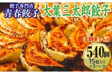 【定期便12ヶ月】餃子専門店青春餃子　大葉三太郎餃子15個入り×3パック 45個（計540個）
