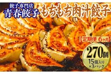 【定期便6ヶ月】餃子専門店青春餃子 もちもち肉汁餃子15個入り×3パック 45個（計270個）
