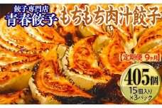 【定期便9ヶ月】餃子専門店青春餃子 もちもち肉汁餃子15個入り×3パック 45個（計405個）