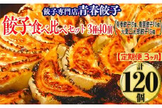【定期便3ヶ月】餃子専門店青春餃子 餃子食べ比べセット 3種40個（青春餃子15個、豊岡餃子10個、大葉三太郎餃子15個）（計120個）