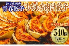 【定期便12ヶ月】餃子専門店青春餃子 もちもち肉汁餃子15個入り×3パック 45個（計540個）