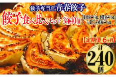 【定期便6ヶ月】餃子専門店青春餃子 餃子食べ比べセット 3種40個（青春餃子15個、豊岡餃子10個、大葉三太郎餃子15個）（計240個）