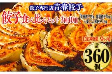 【定期便9ヶ月】餃子専門店青春餃子 餃子食べ比べセット 3種40個（青春餃子15個、豊岡餃子10個、大葉三太郎餃子15個）（計360個）